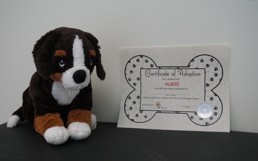 baby-augie-with-certificate